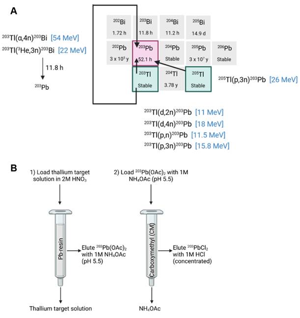 Theranostics Image