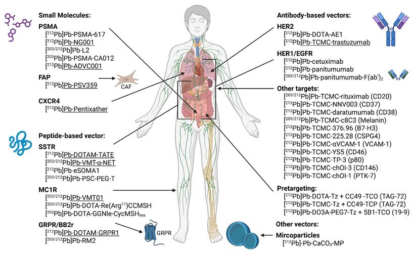 Theranostics Image
