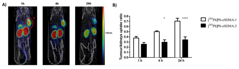 Theranostics Image
