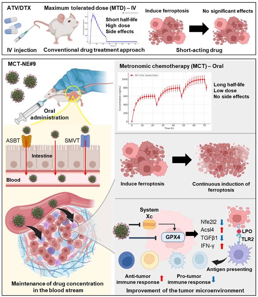 Theranostics Image