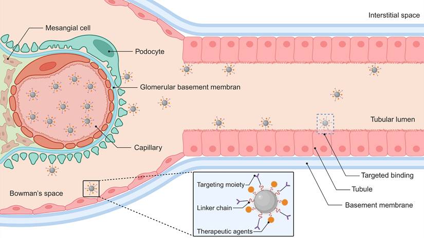Theranostics Image