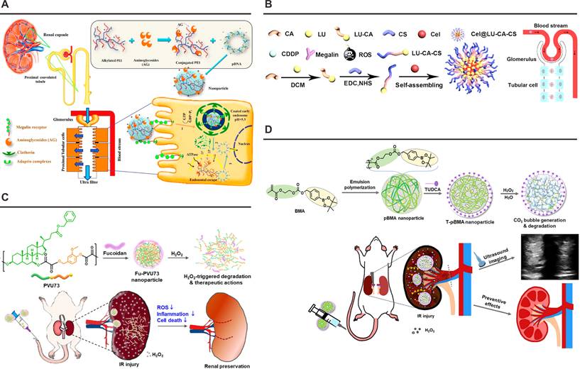Theranostics Image