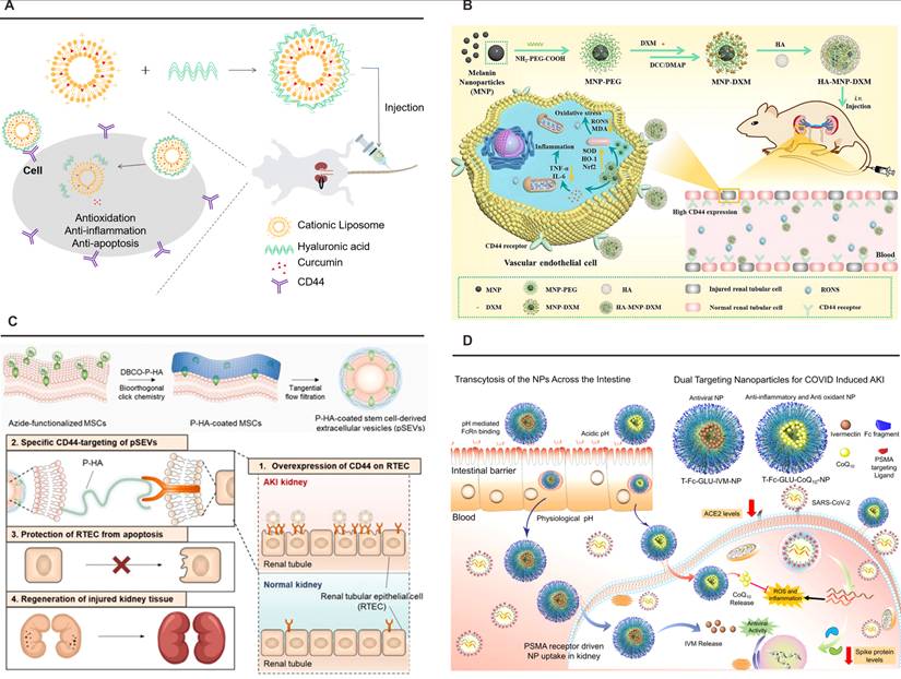 Theranostics Image