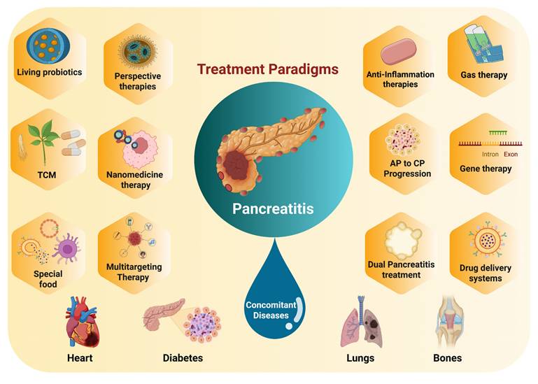 Theranostics Image