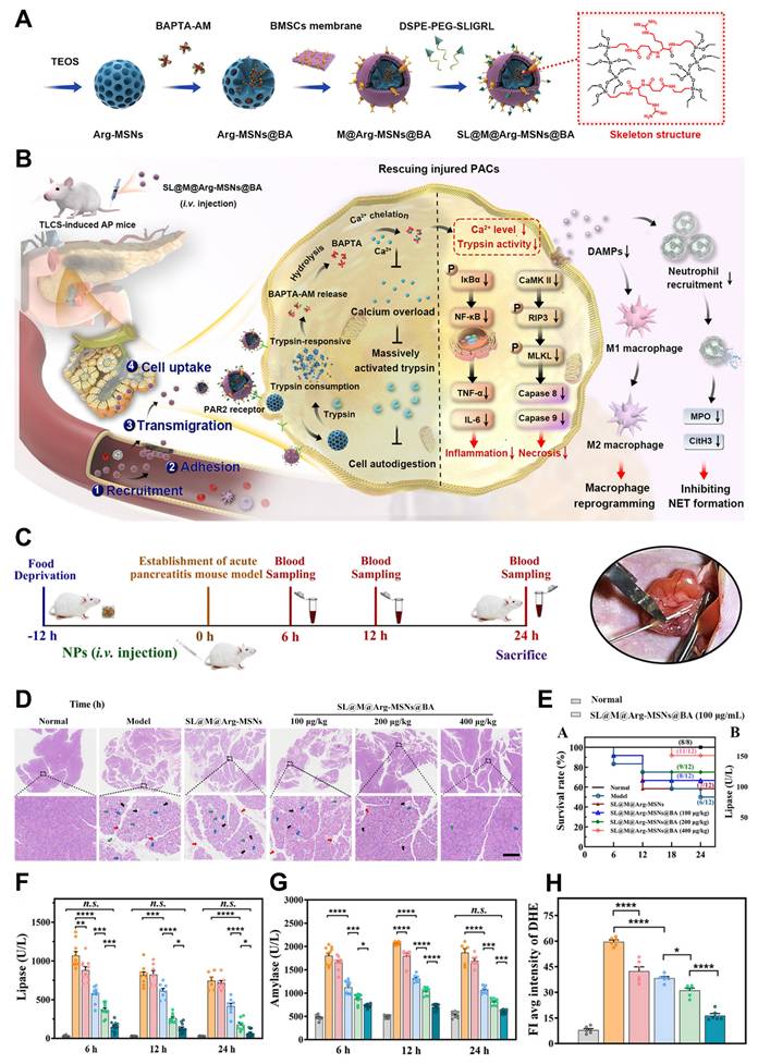 Theranostics Image