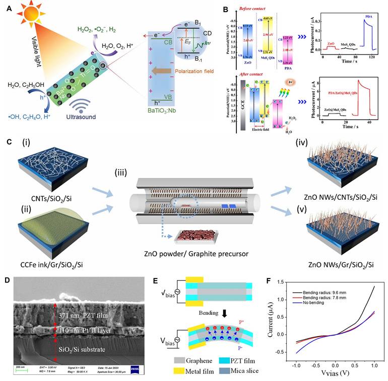 Theranostics Image