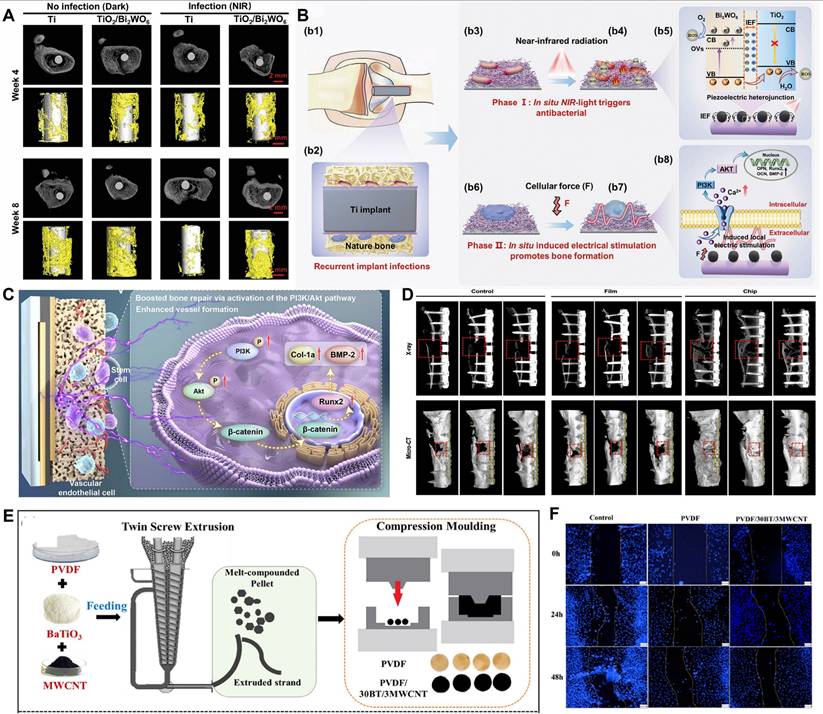 Theranostics Image