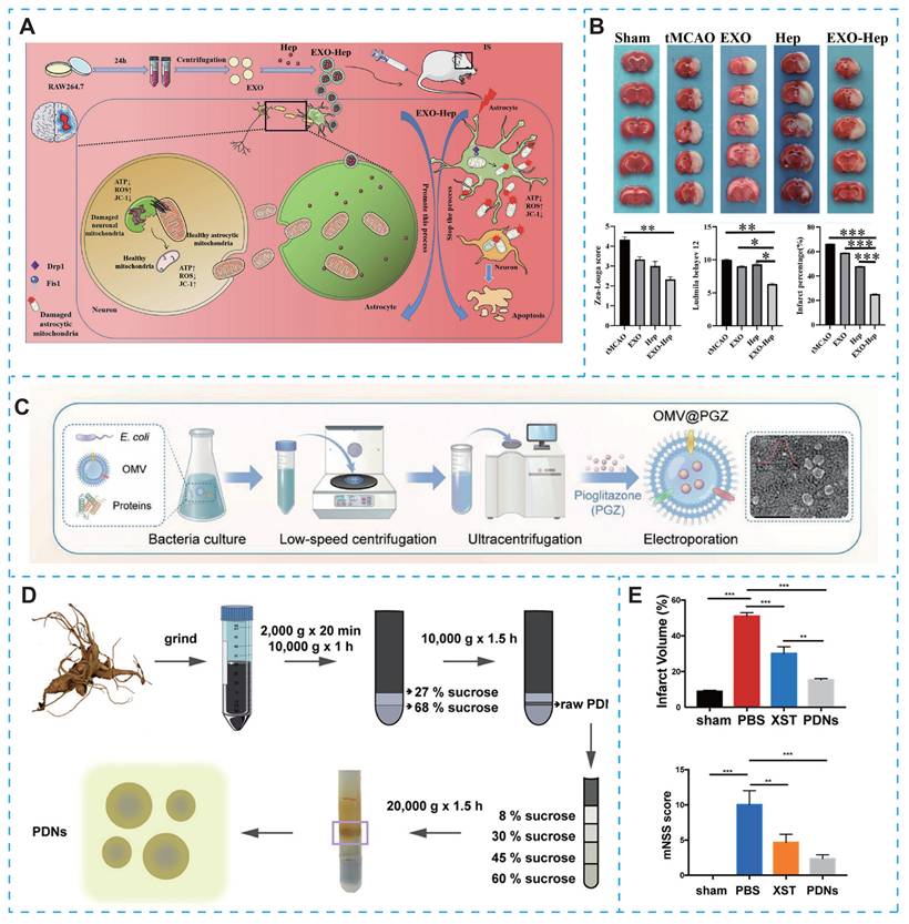 Theranostics Image