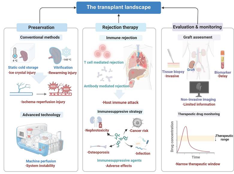 Theranostics Image