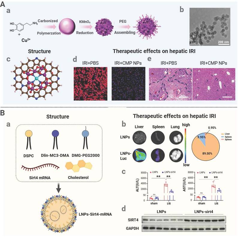 Theranostics Image