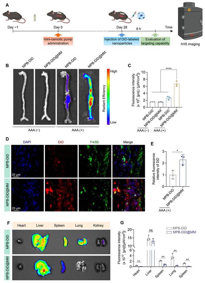 Theranostics Image