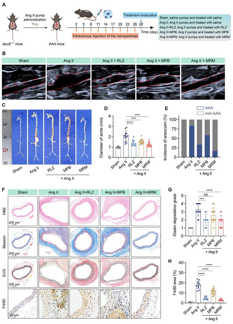 Theranostics Image