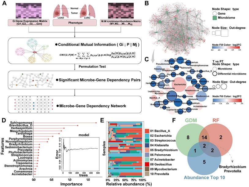 Theranostics Image