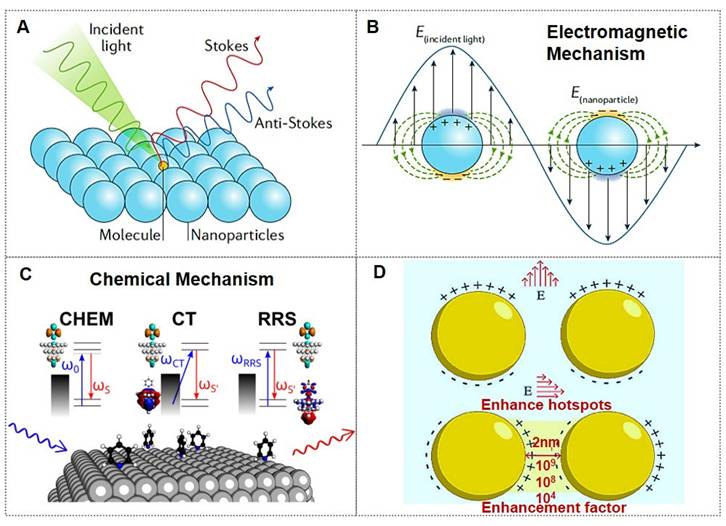 Theranostics Image