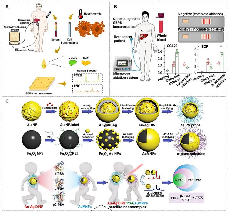 Theranostics Image