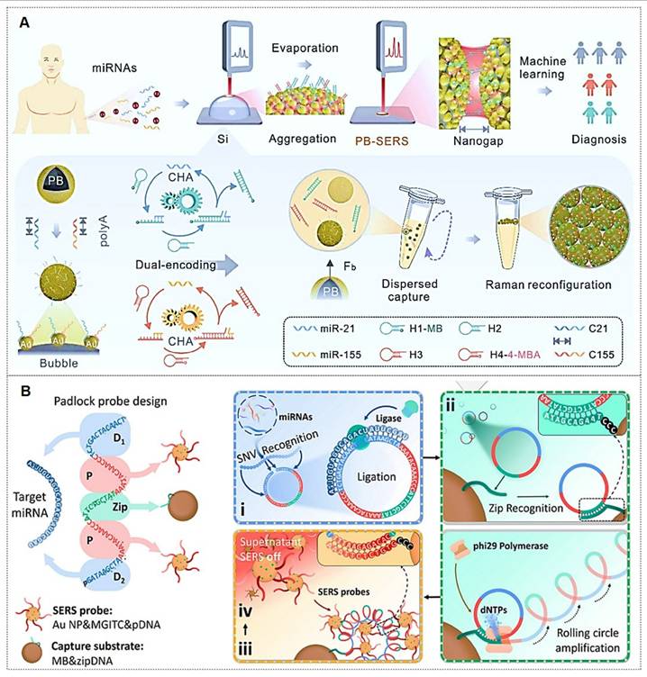 Theranostics Image