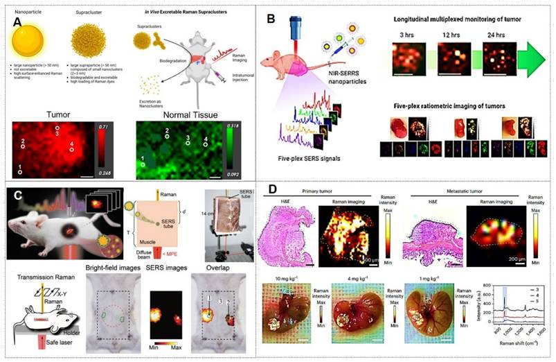 Theranostics Image