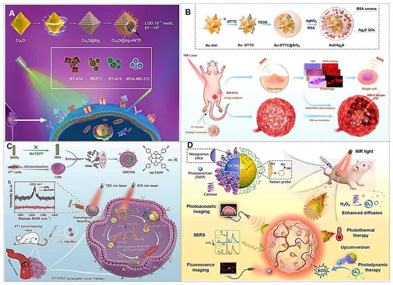 Theranostics Image
