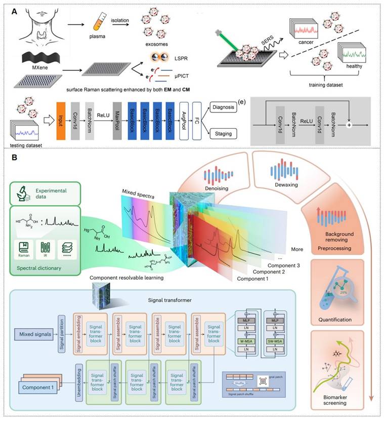 Theranostics Image