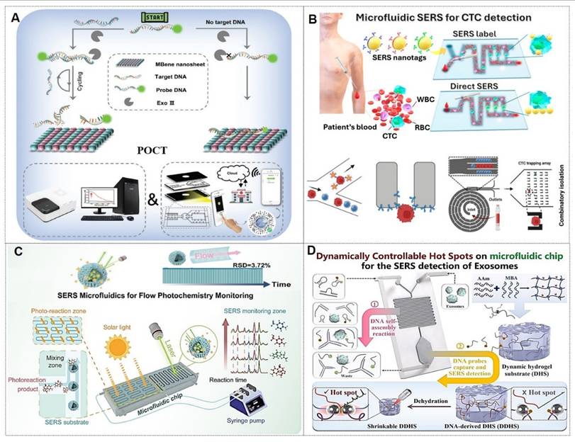 Theranostics Image