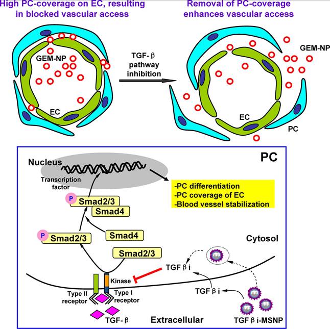 Theranostics Image