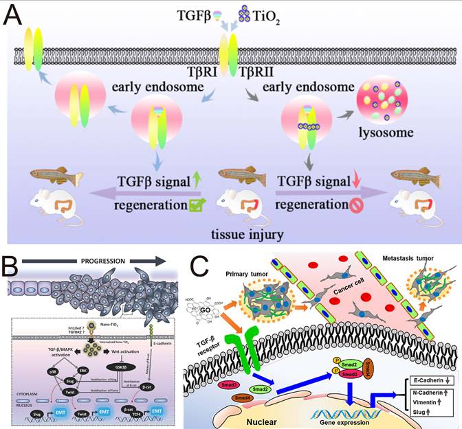 Theranostics Image