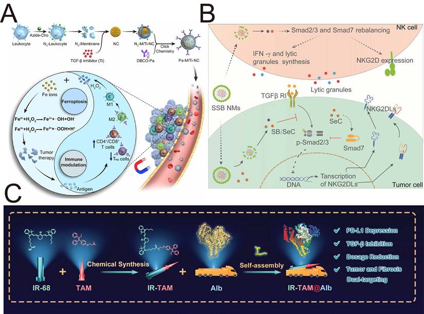Theranostics Image