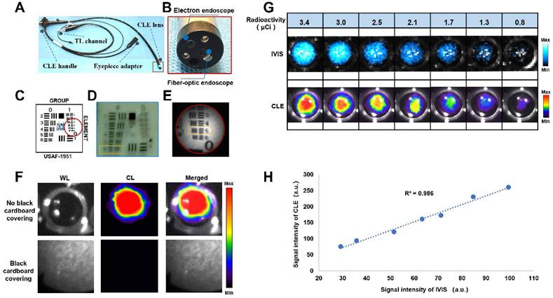 Theranostics Image