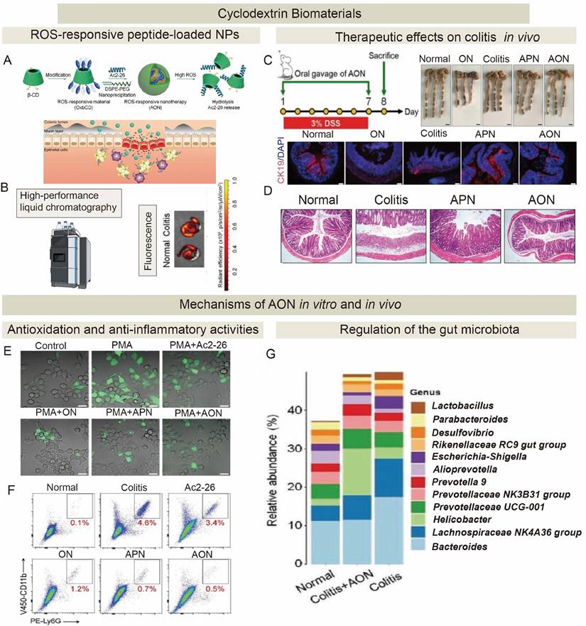 Theranostics Image