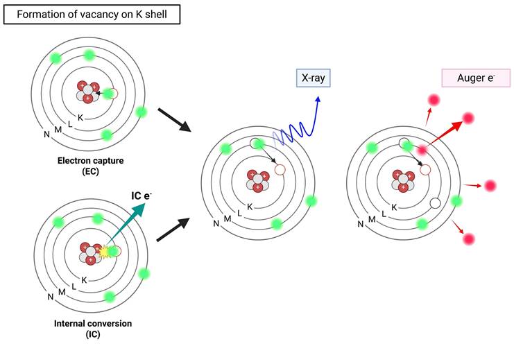 Theranostics Image