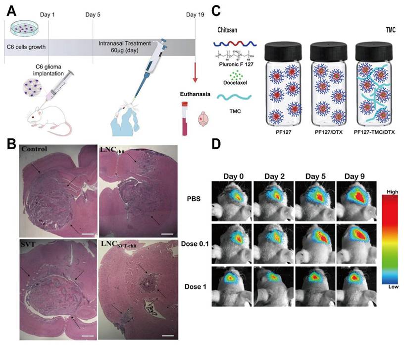 Theranostics Image