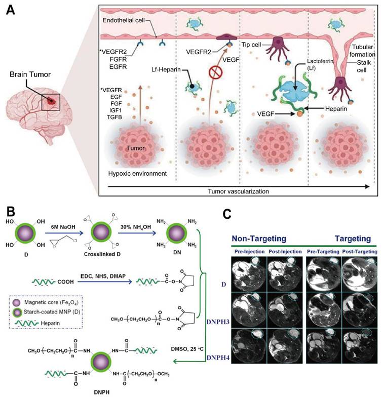 Theranostics Image