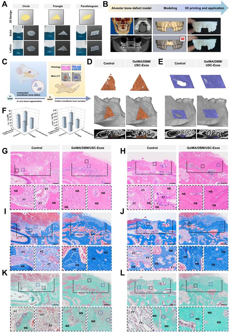 Theranostics Image