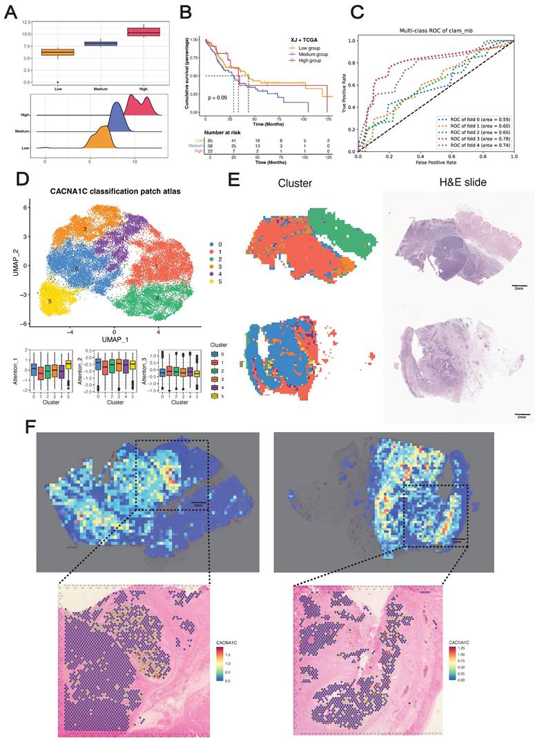 Theranostics Image