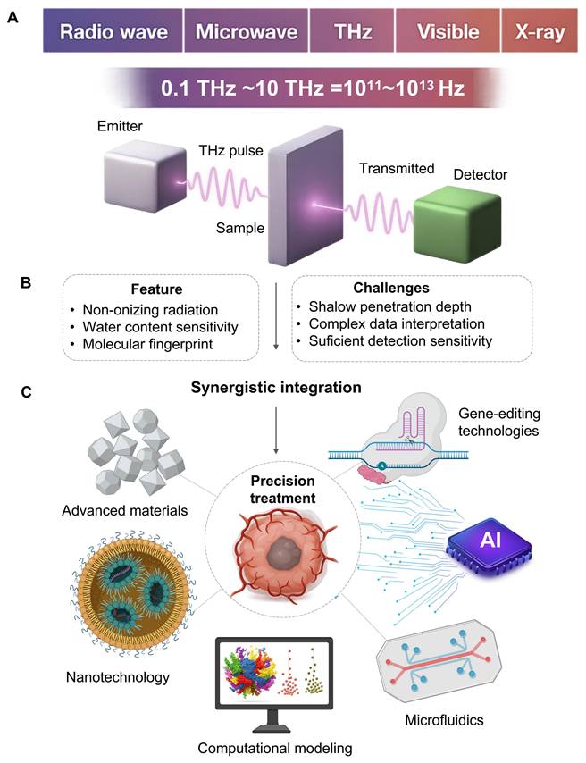 Theranostics Image