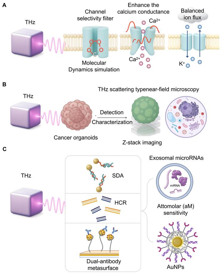 Theranostics Image