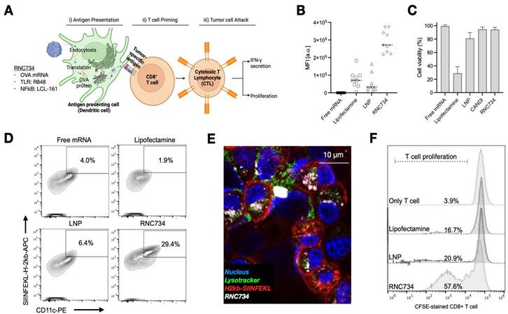 Theranostics Image