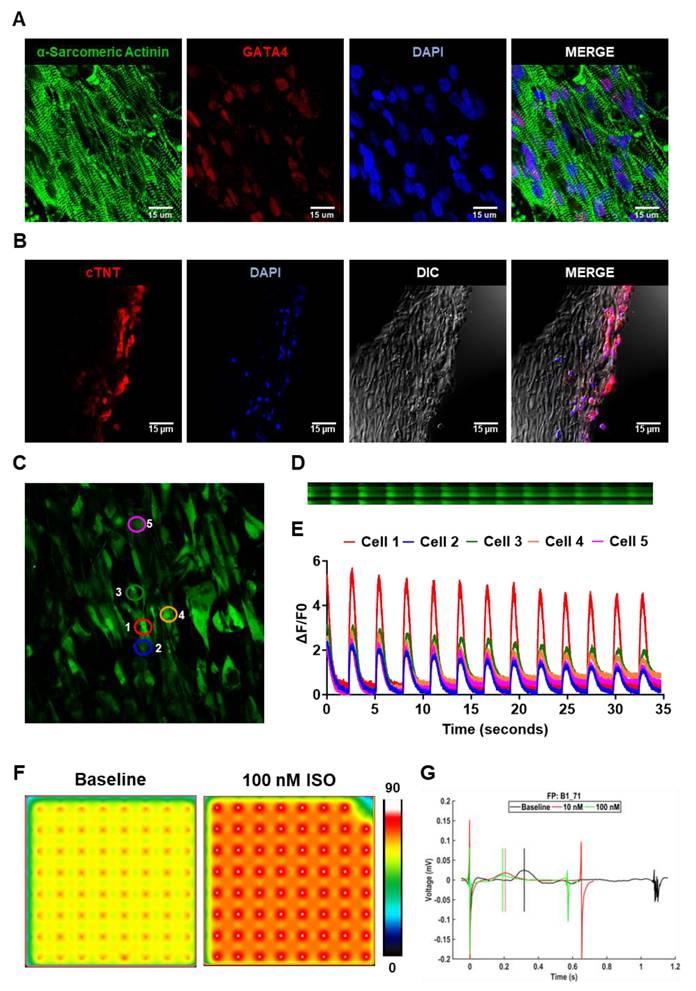 Theranostics Image