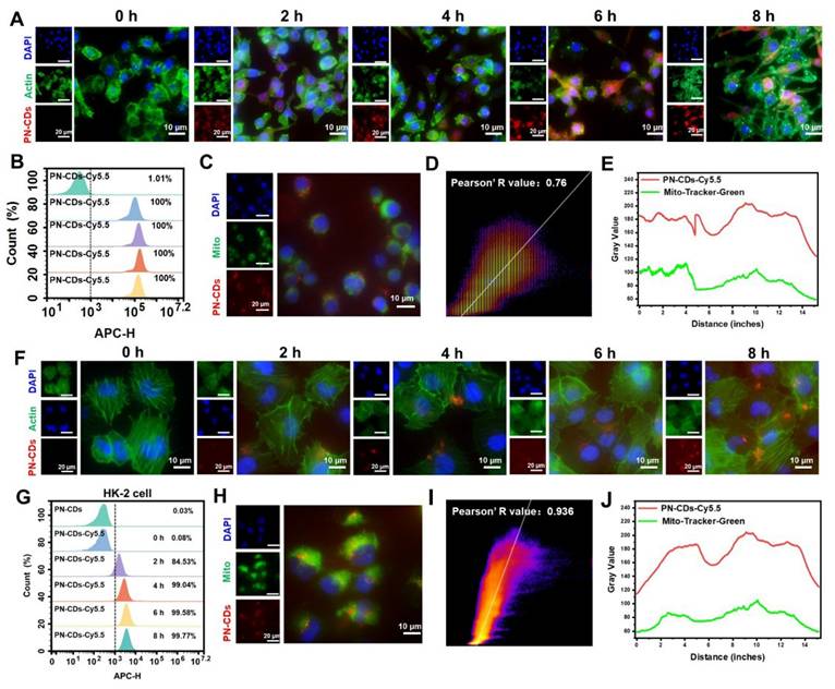 Theranostics Image
