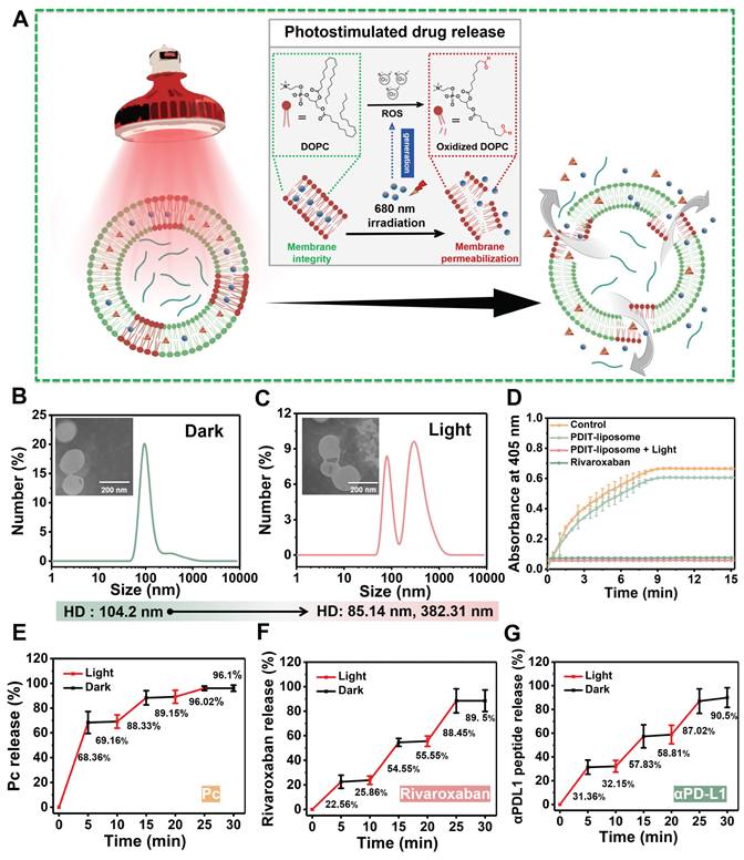 Theranostics Image