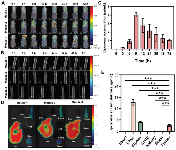 Theranostics Image