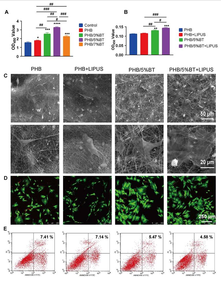 Theranostics Image
