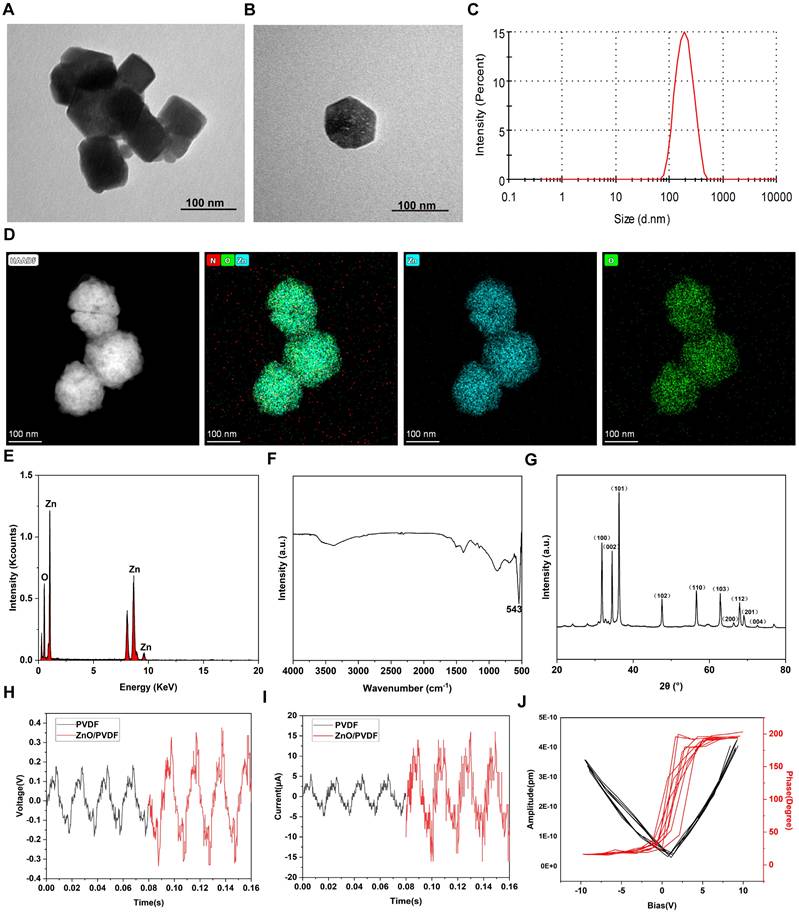 Theranostics Image