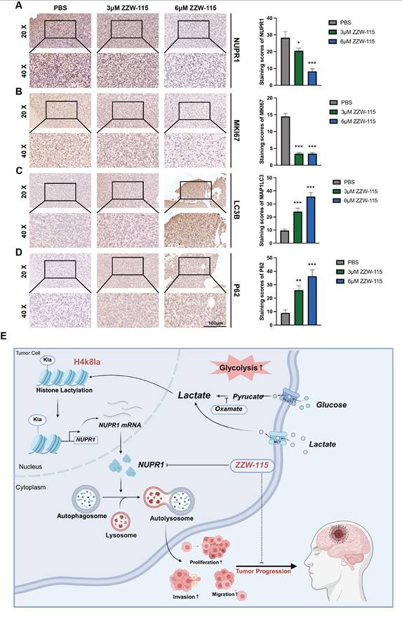 Theranostics Image