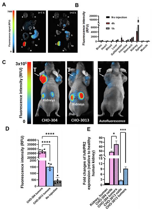 Theranostics Image