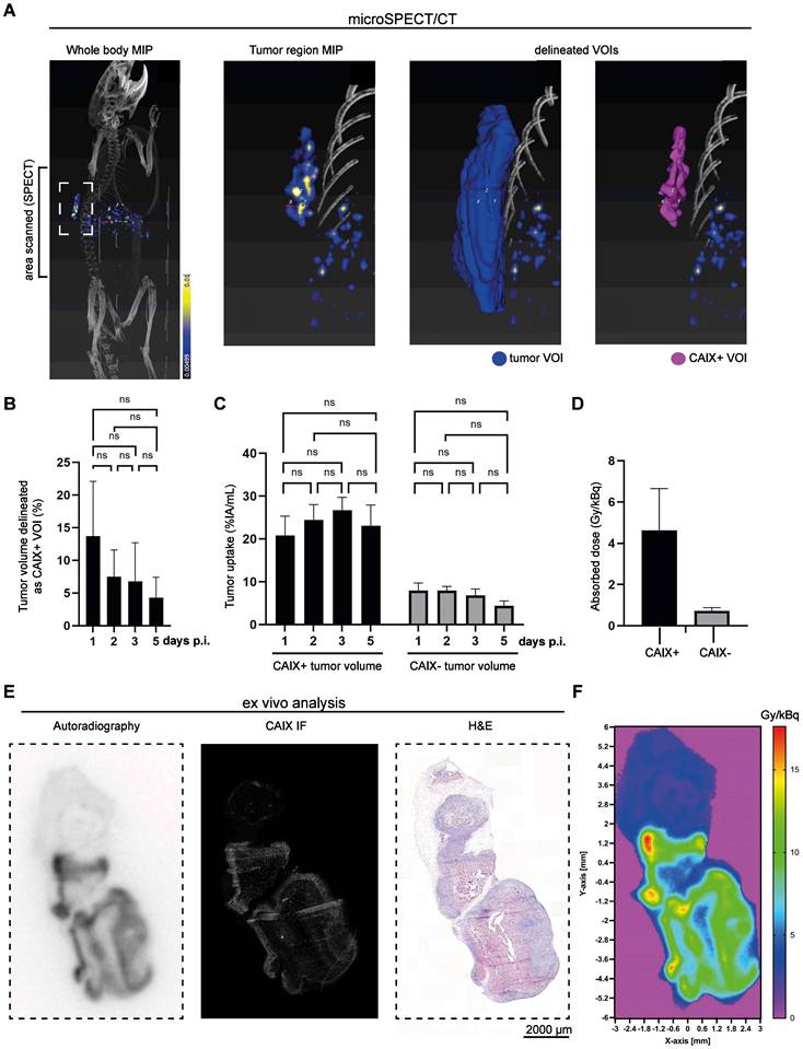 Theranostics Image