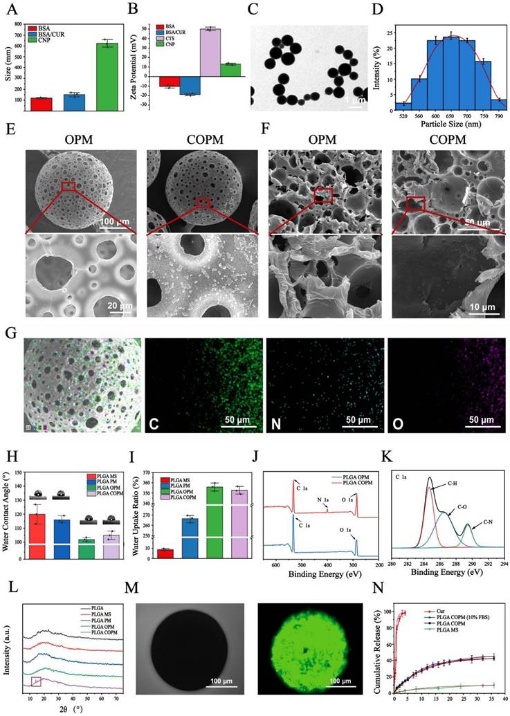 Theranostics Image