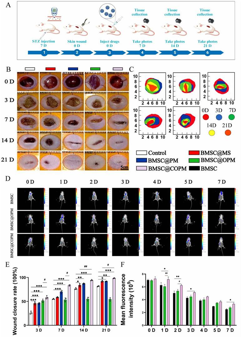 Theranostics Image