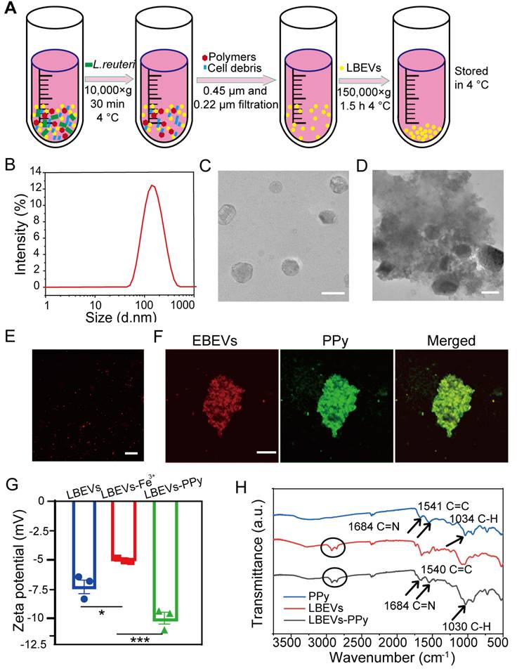 Theranostics Image