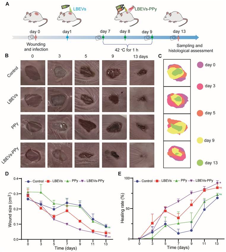 Theranostics Image